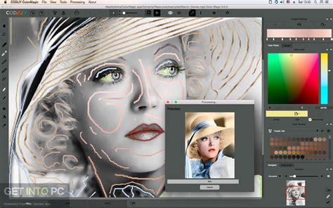 Picture Colorizer Pro 3.1.0